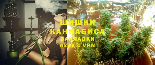 дмт Лагань