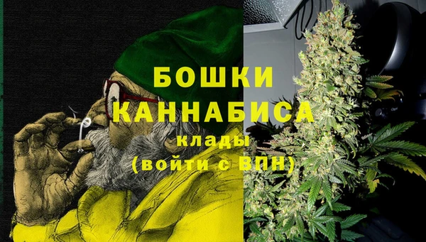 мдпв Лабытнанги