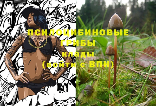мдпв Лабытнанги
