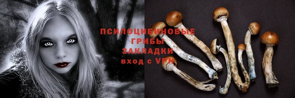 MDMA Premium VHQ Ладушкин