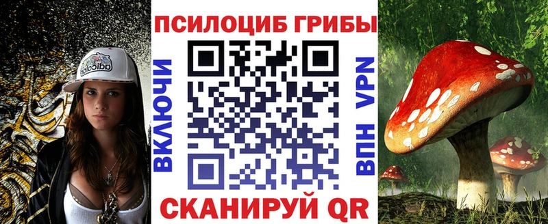 Псилоцибиновые грибы Psilocybe  Купить  Новосокольники 